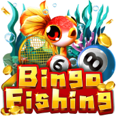 Bingo Fishing at Big Win Casino